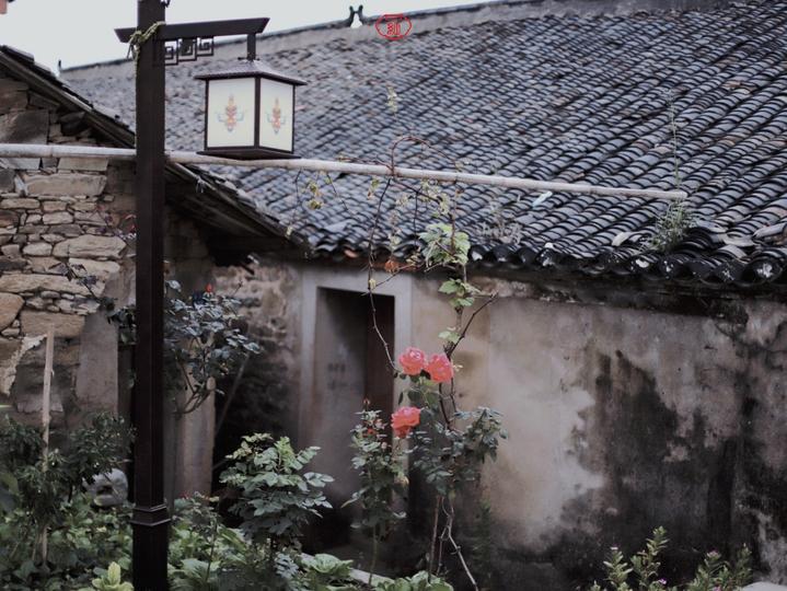 武汉温馨的旅游景点,武汉宝藏旅游胜地免费景点