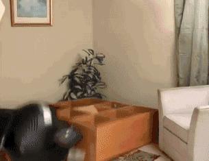 花80万装修被坑,明星房子装修都会遇坑