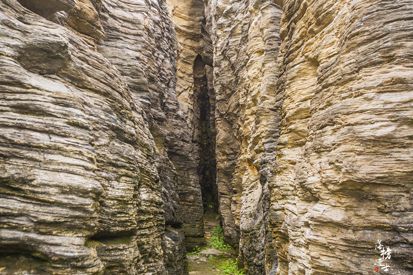 黄山西递古村落景点简介,黄山市西递古村落图片