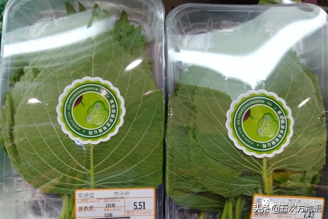 漫谈起源于中国的蔬菜