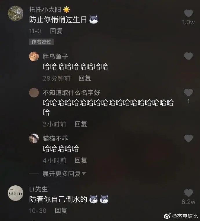 看到铲屎官终于回家，立即安心地睡着了|冷段子1986