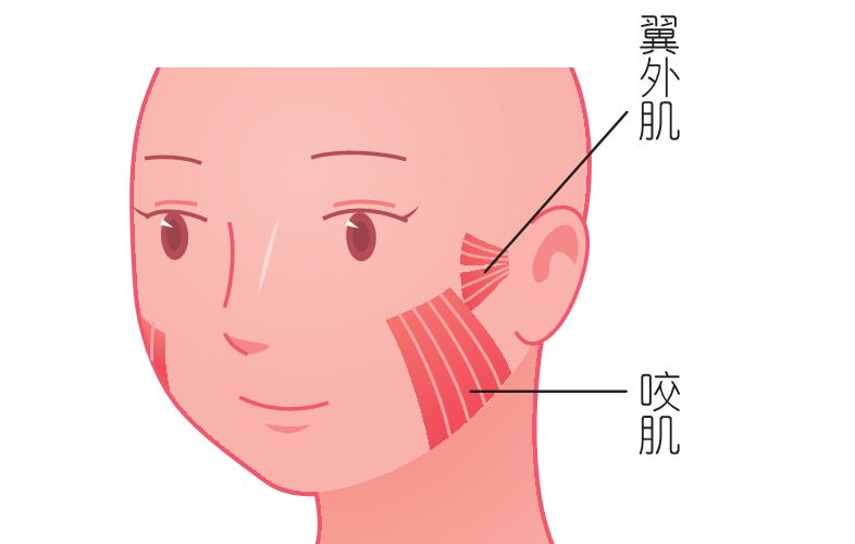 2021级高校新生年龄数据,高校平均脸
