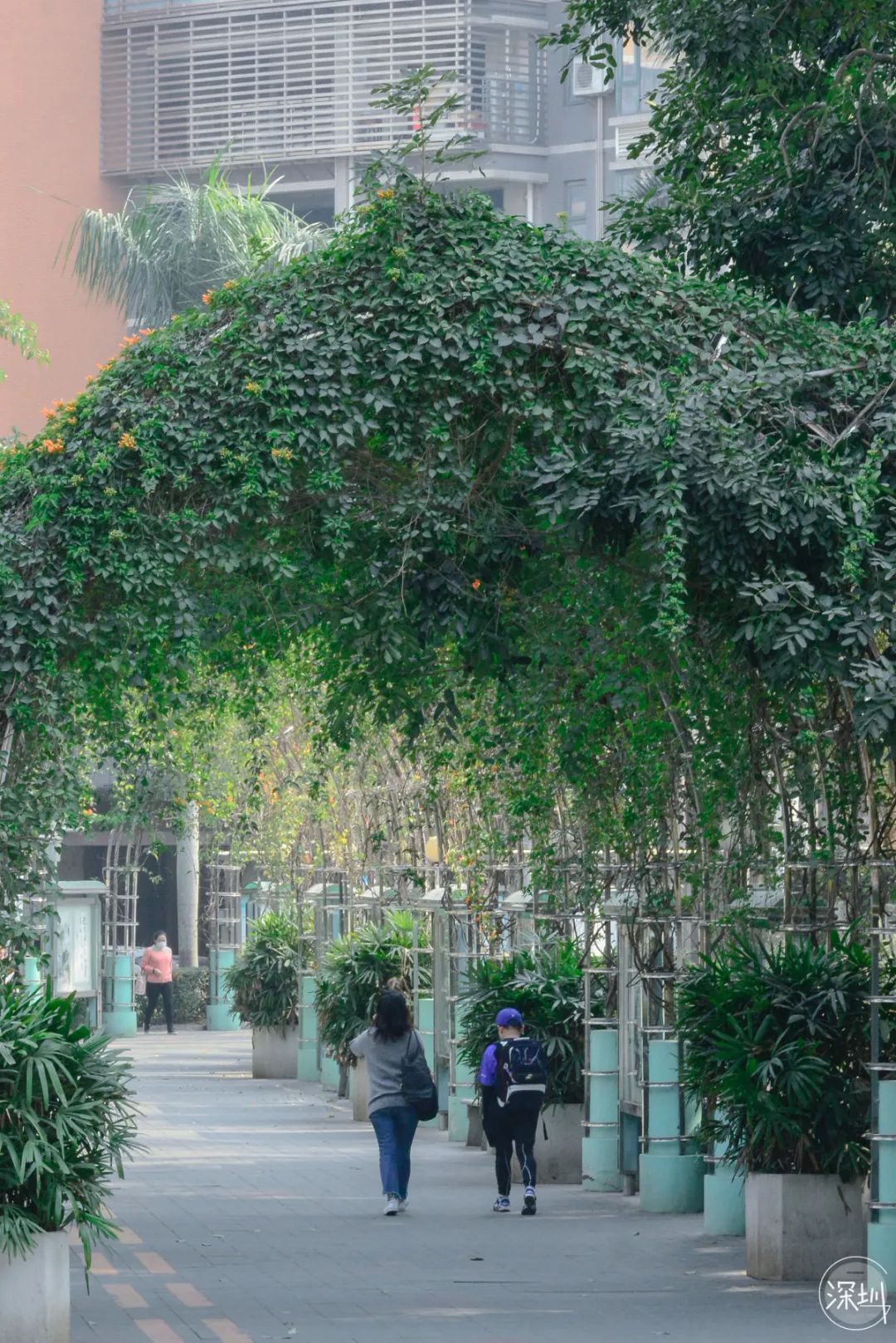 莲花村是哪个省的,中国莲花村排名