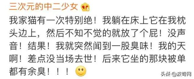 猫上了床有一股很臭的味道找不到,为什么猫的屁股碰到床单就臭