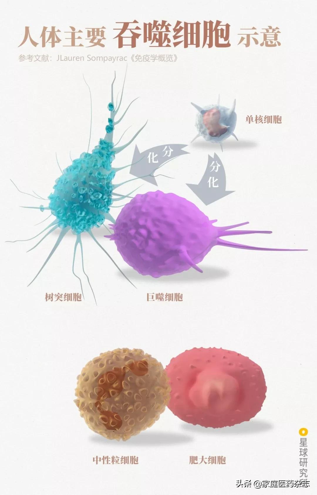 鍋囧鐥呮瘨鎰熸煋浜嗘垜,鍋囧鐥呮瘨鎰熸煋浜嗕綘