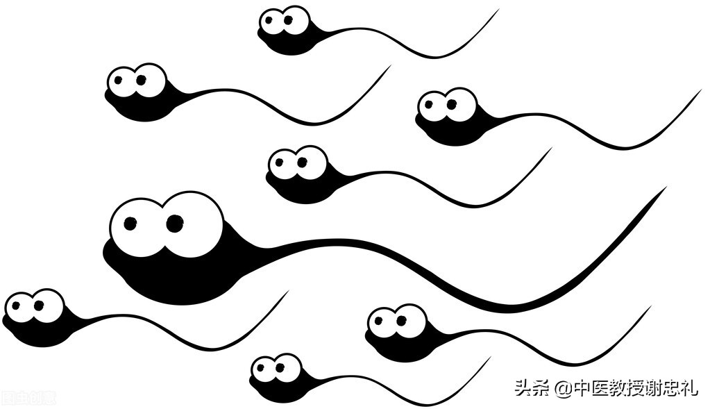 中医血的主要生理功能,血精症中医说法