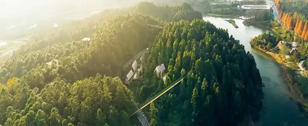 杭州1.5h就有不输清迈的丛林树屋