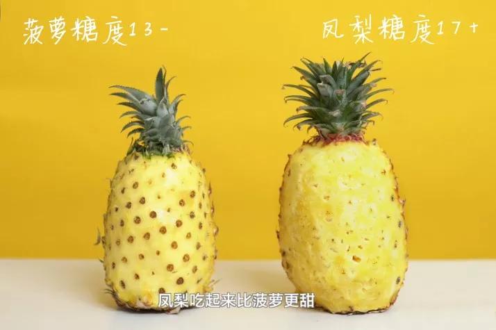 菠萝甜还是凤梨甜,不知道是菠萝还是凤梨