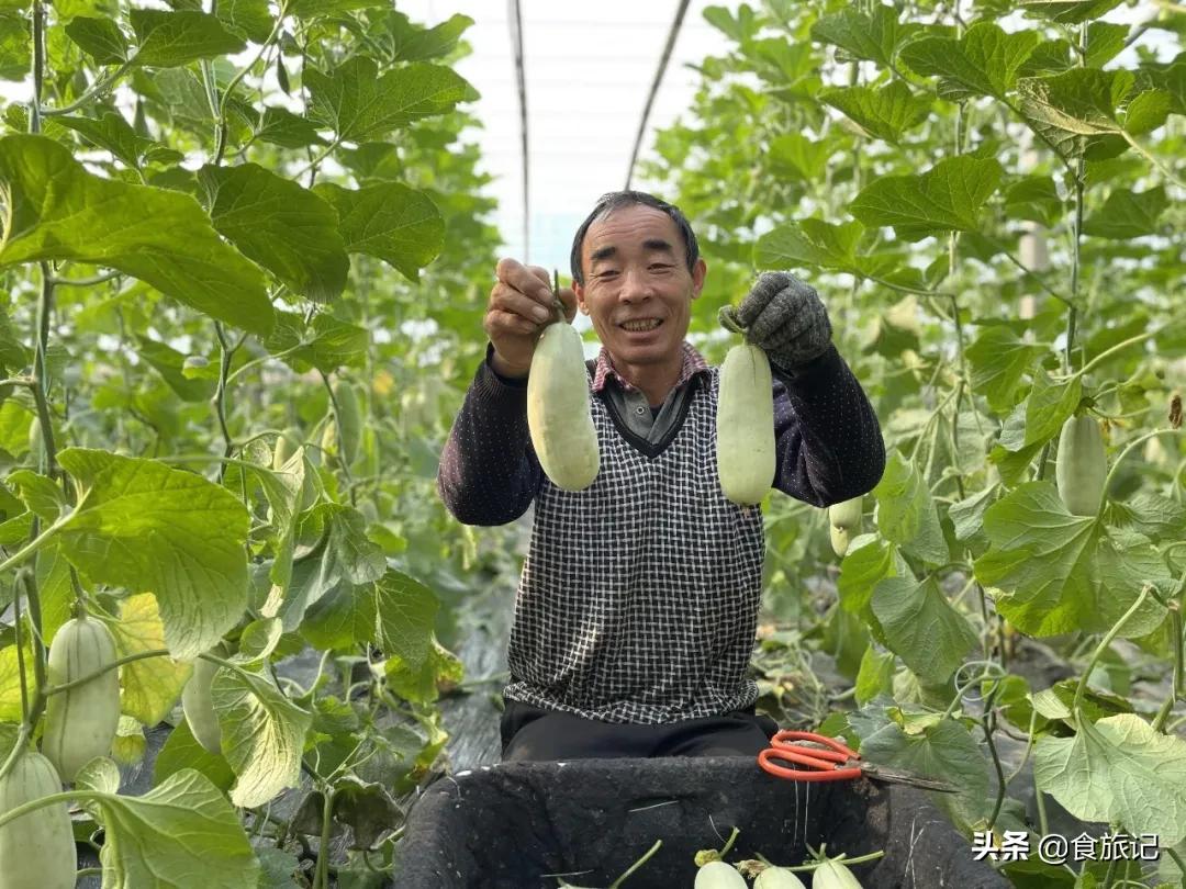 这瓜一肚子蜜汁，掰开就漏！闻着香、咬着脆、一口下去甜到醉