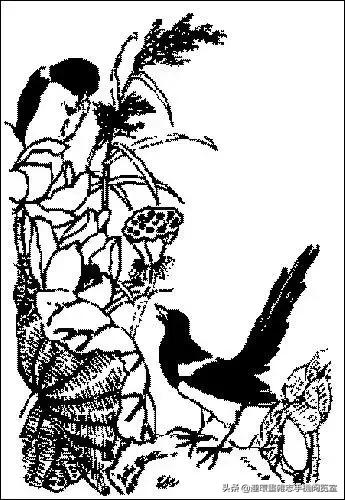 中国传统吉祥图案全集,中国传统纹样与吉祥图案论述