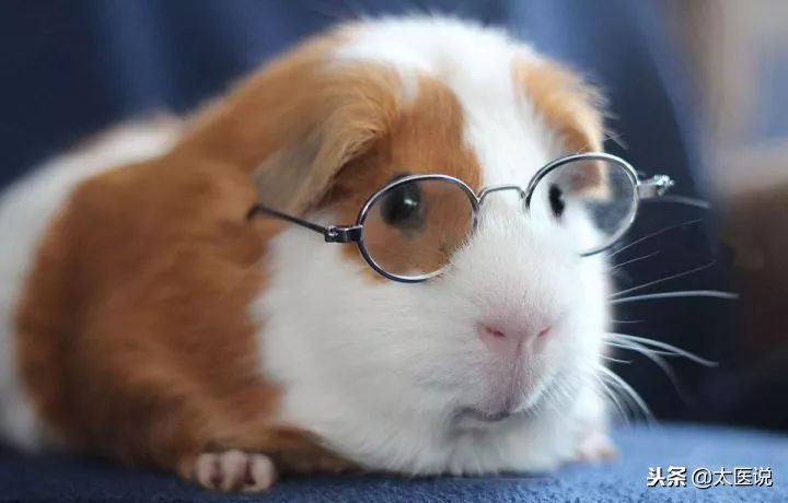 间歇性斜视做手术的危害,斜视的危害图文