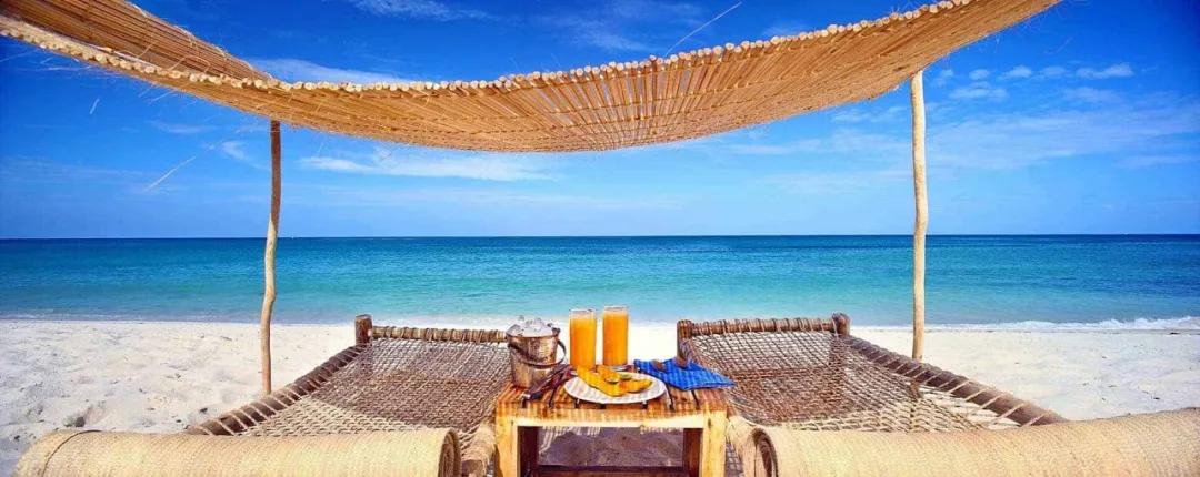 无需检测“开国门”，坦桑尼亚如此重启旅游