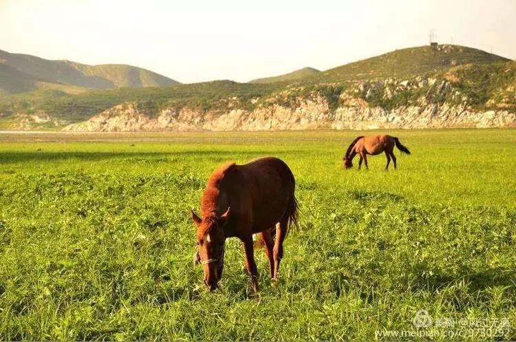 保定十八渡航拍,保定十八渡环湖公路