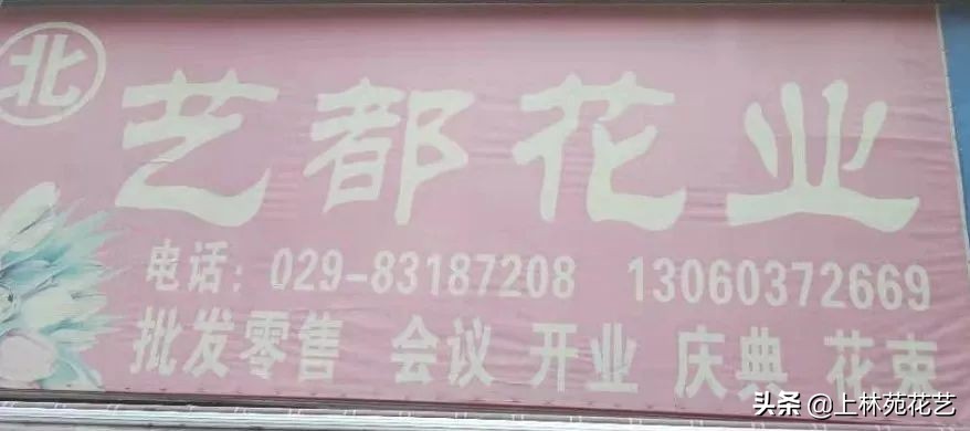 西安新年鲜花批发,西安鲜花店批发进货渠道