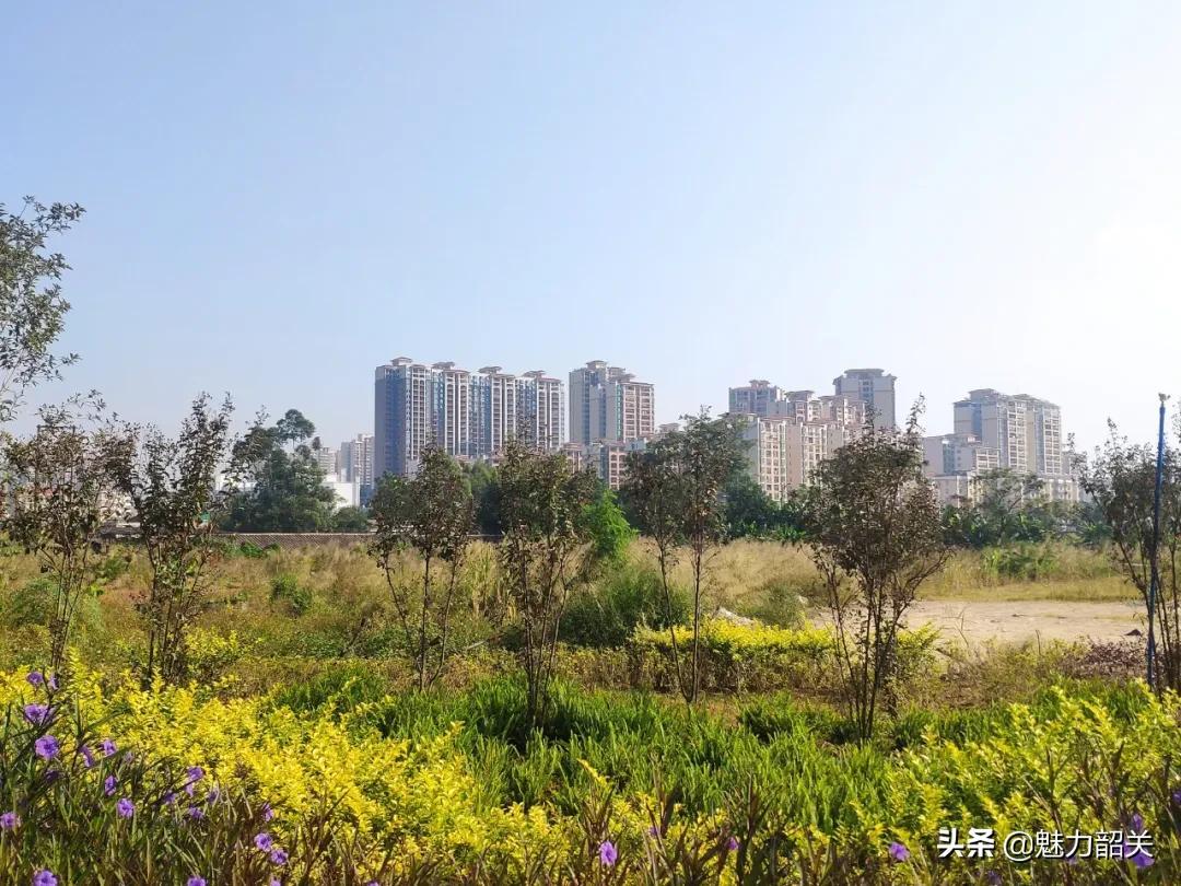 韶关曲江宜居,曲江新区城市品质