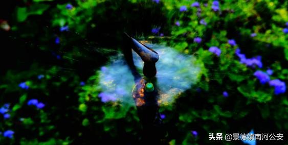 古诗夏夜微凉,古诗夏夜朗诵