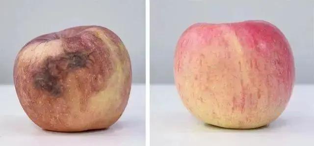 冰箱断电食物发臭如何除臭味,冰箱发臭一进门就闻得到怎么办