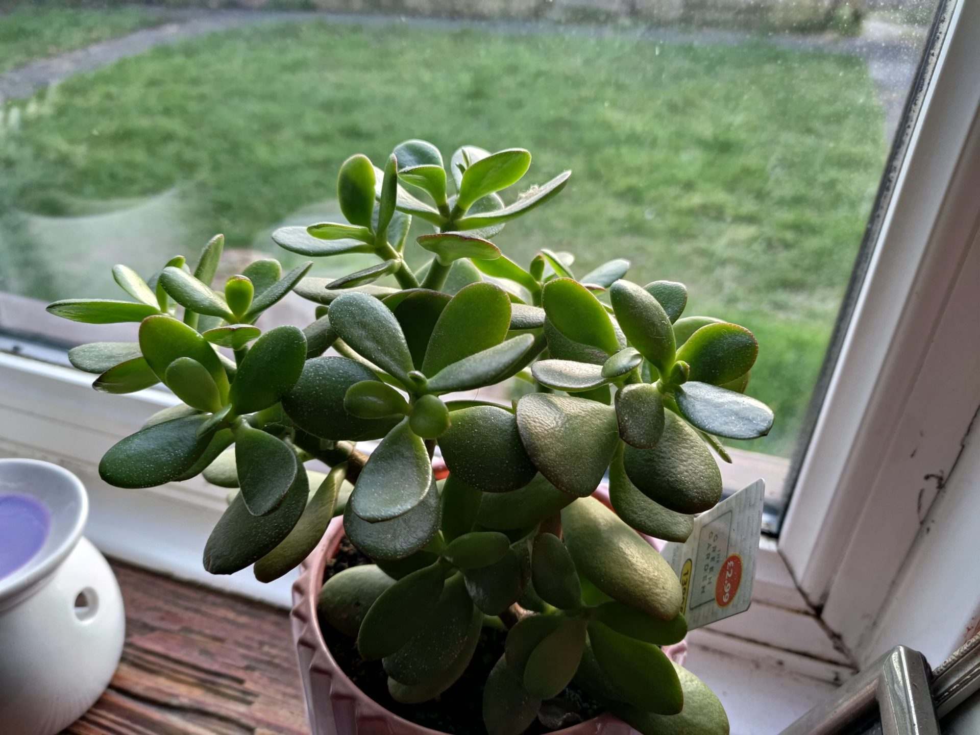 华硕手机rog5有什么缺点吗,华硕rogphone5