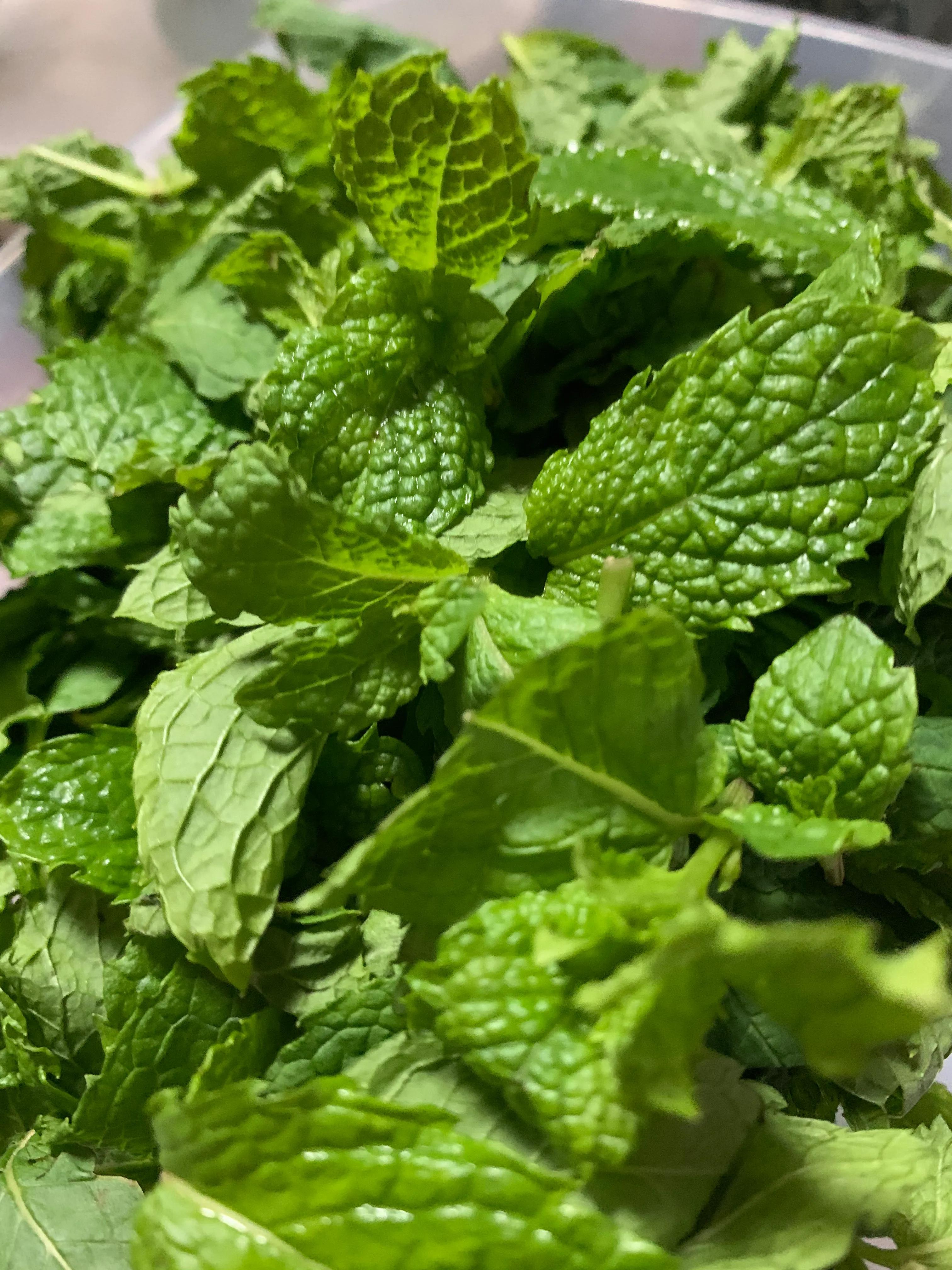 自制驱蚊止痒无添加的艾叶薄荷膏,幼儿园自制艾草薄荷膏的简单方法