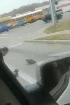 股市利好落地的搞笑视频,大盘反弹了搞笑图