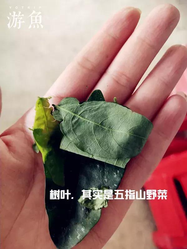 希尔顿兴隆湖,希尔顿酒店兴隆店