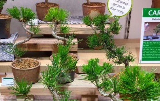 新加坡Tokyuhands东急商店值得一买的精品好货有这些