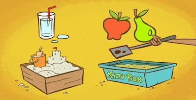 怀孕养宠物央视辟谣,辟谣怀孕不能养宠物