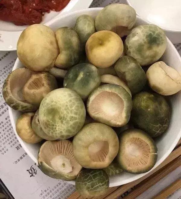 无毒野生菌图鉴大全,见手青野生菌可以吃的种类
