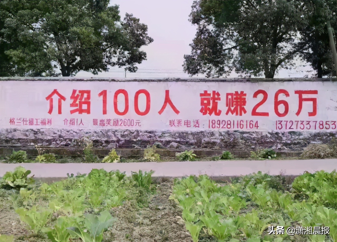 “工厂进的早，媳妇都比别人好！”格兰仕招聘广告引关注，网友：明天到，媳妇在哪领