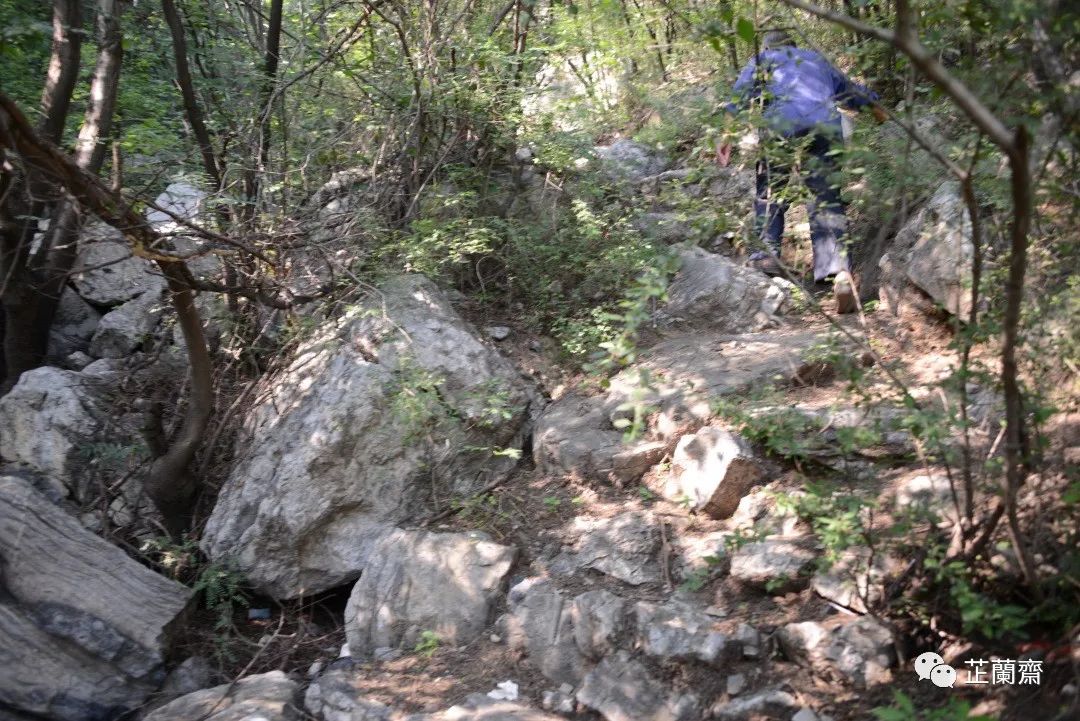 璞珷涔﹂櫌,涔﹂櫌淇濆畾