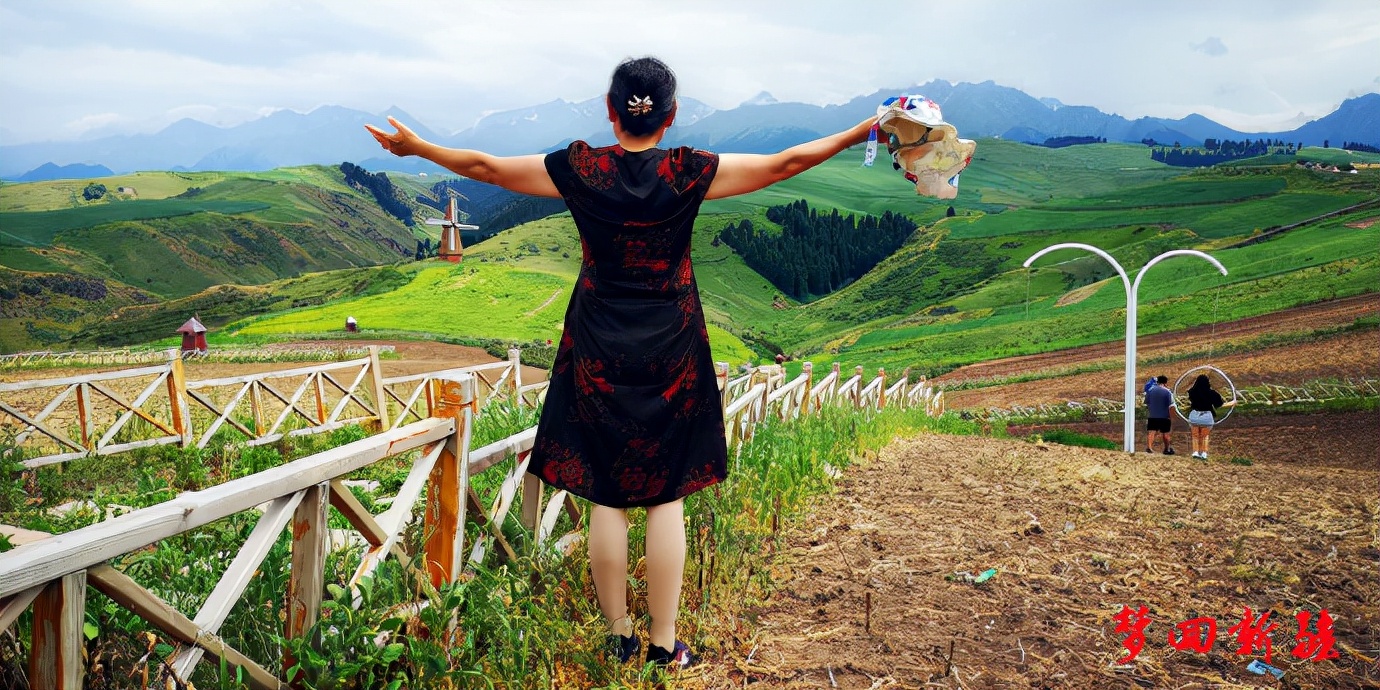 梦回新疆梦回拉萨,梦回伊宁草原视频