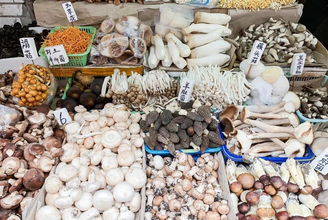 成都闹市区有家苍蝇馆子40平米,成都苍蝇馆子本地人推荐便宜好吃