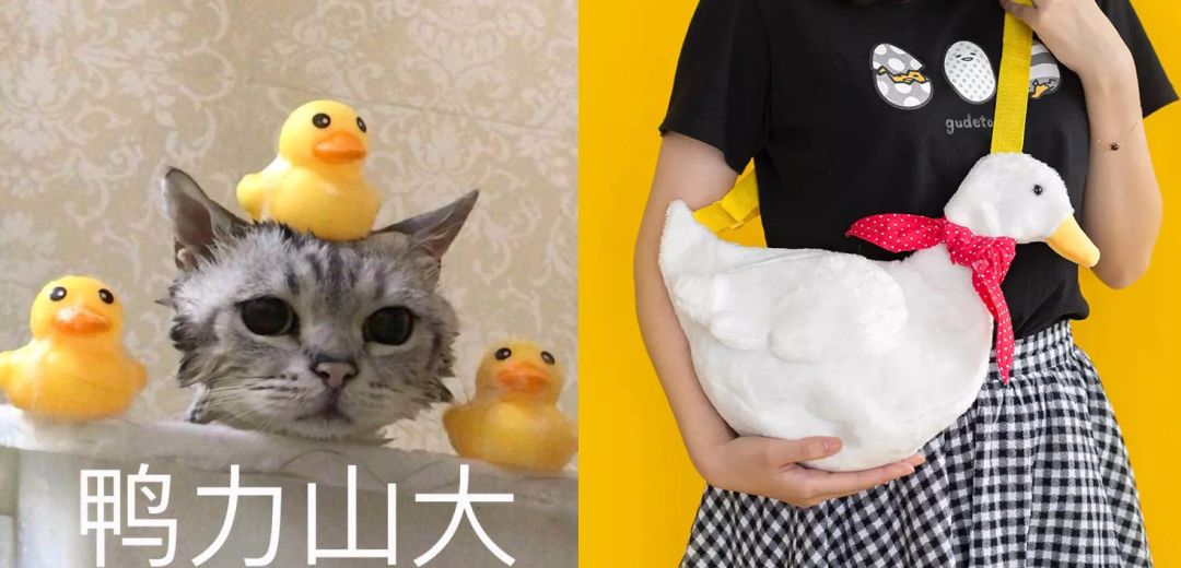 90后女人摆摊卖包包,淘宝卖表情包年入百万