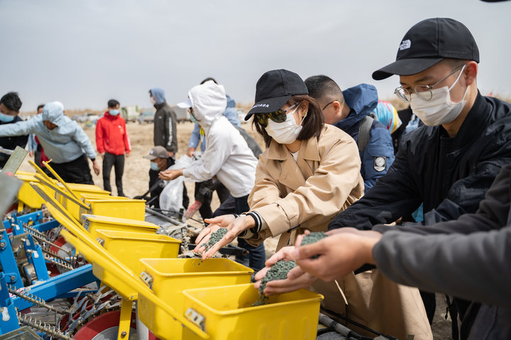 新疆棉花辟谣,辟谣新疆和田