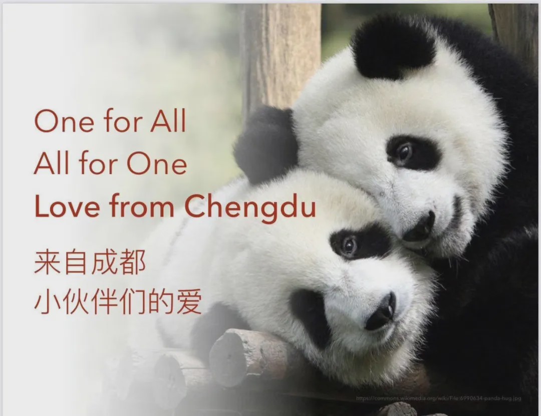 “温度”的师资,“韧度”的国际课程体系。青苗,你的不二之选