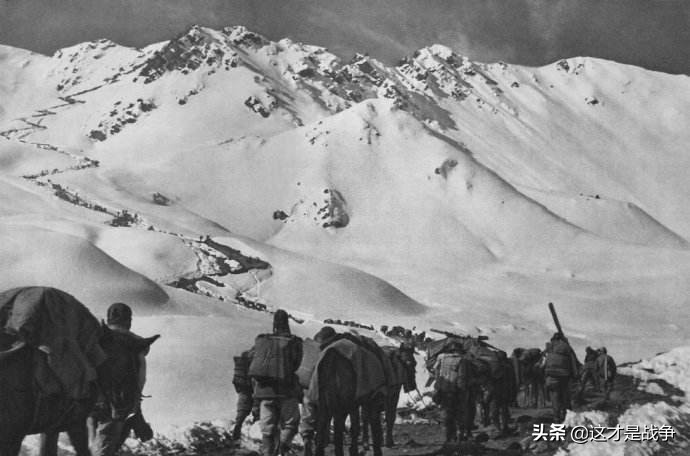 上世纪50年代，*藏西**叛军中有一个解放军叛徒，我军对其恨之入骨