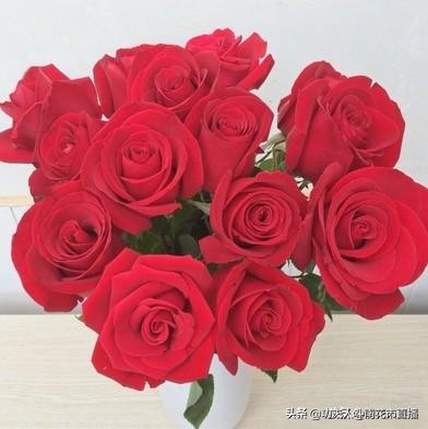 昆明鲜花一件代发对花店有影响吗,云南昆明鲜花一件代发合作平台