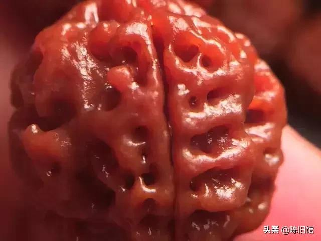 什么是金刚菩提鹰爪纹路,金刚菩提表面纹路磨损