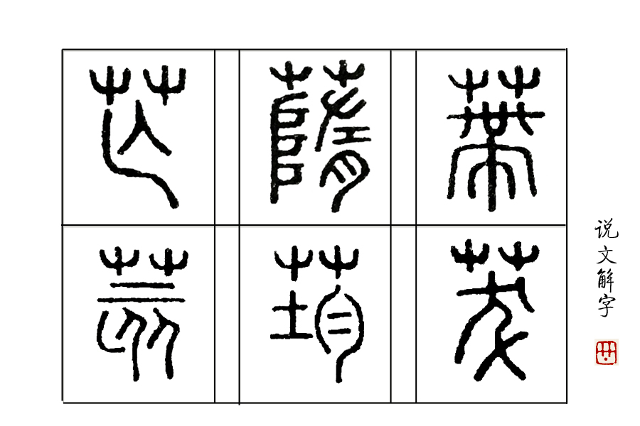 说文解字第0019集,说文解字第143课全集