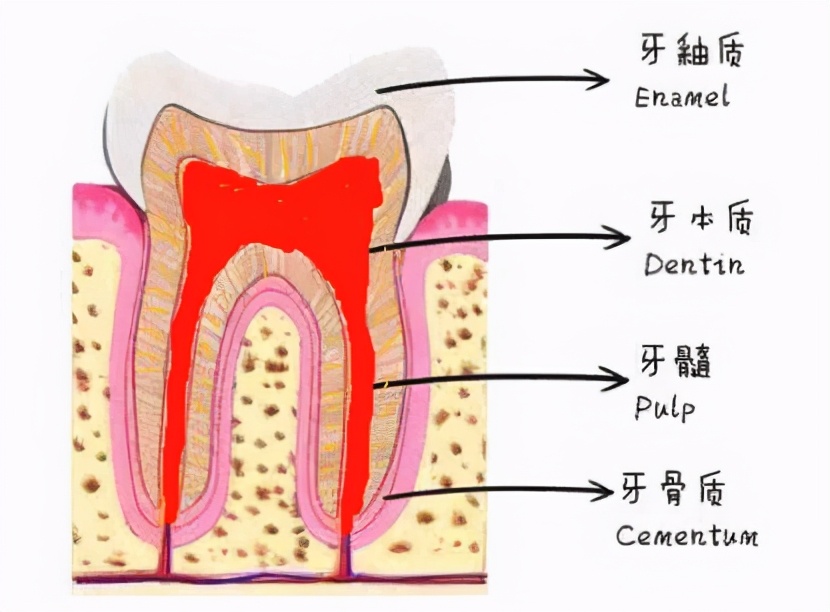 补牙后敏感遇冷热疼痛,补牙后牙齿敏感怎么处理最好