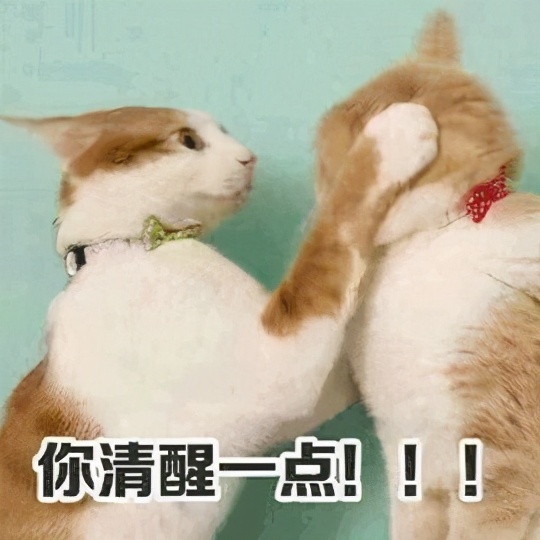 猫咪糖尿病如何诊断,猫咪糖尿病如何确诊