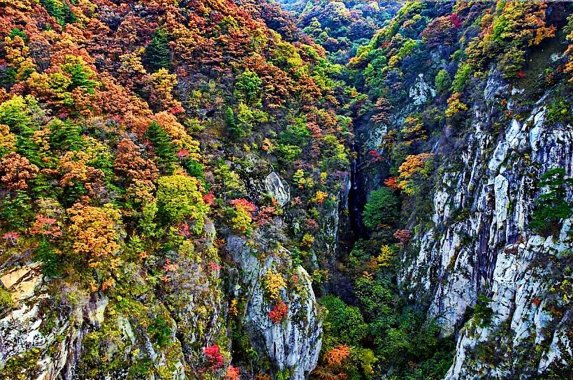 尧山看红叶攻略,看红叶的地方推荐冷门地区两日游