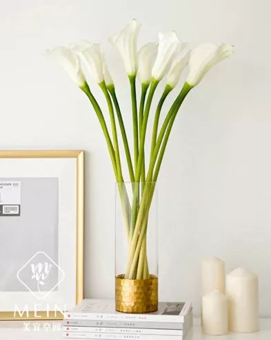 马蹄莲的种植教程,马蹄莲球根种植时间