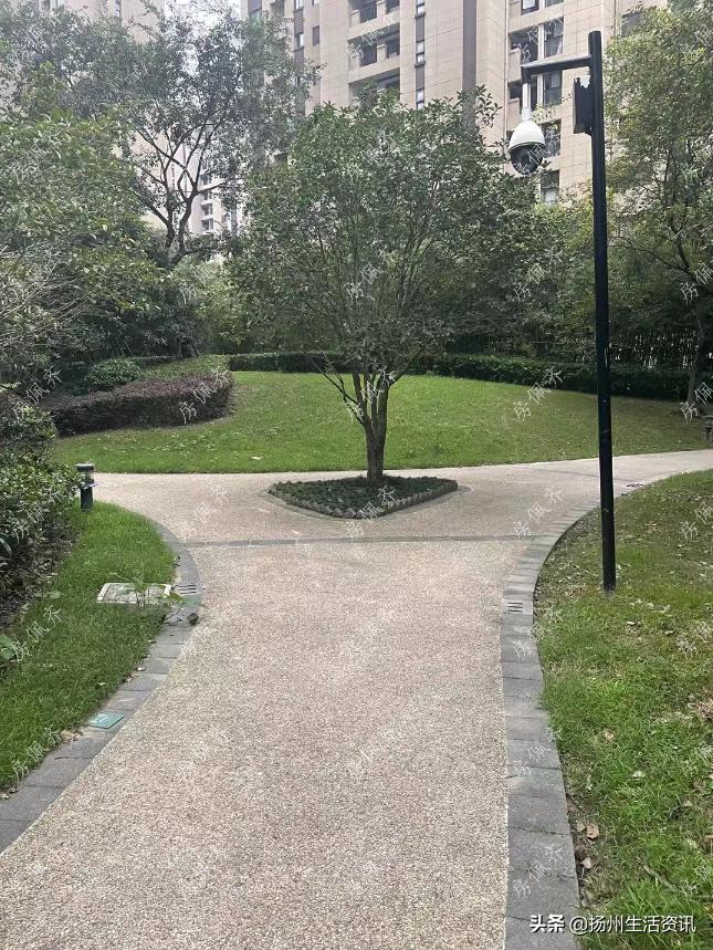 夜探豪宅真实视频,夜探楼盘