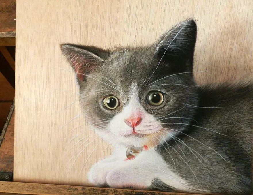 3d超写实彩铅画,超写实彩铅手绘细腻的让人咋舌