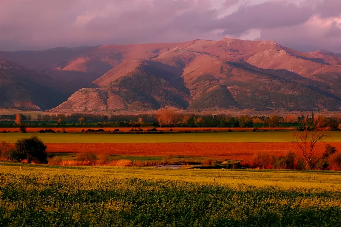 鍥藉淇濆姞鍒╀簹,淇濆姞鍒╀簹鐜懓鏁呬簨