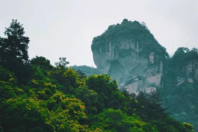 桂花香秋天的味道,南宁青秀山桂花盛开