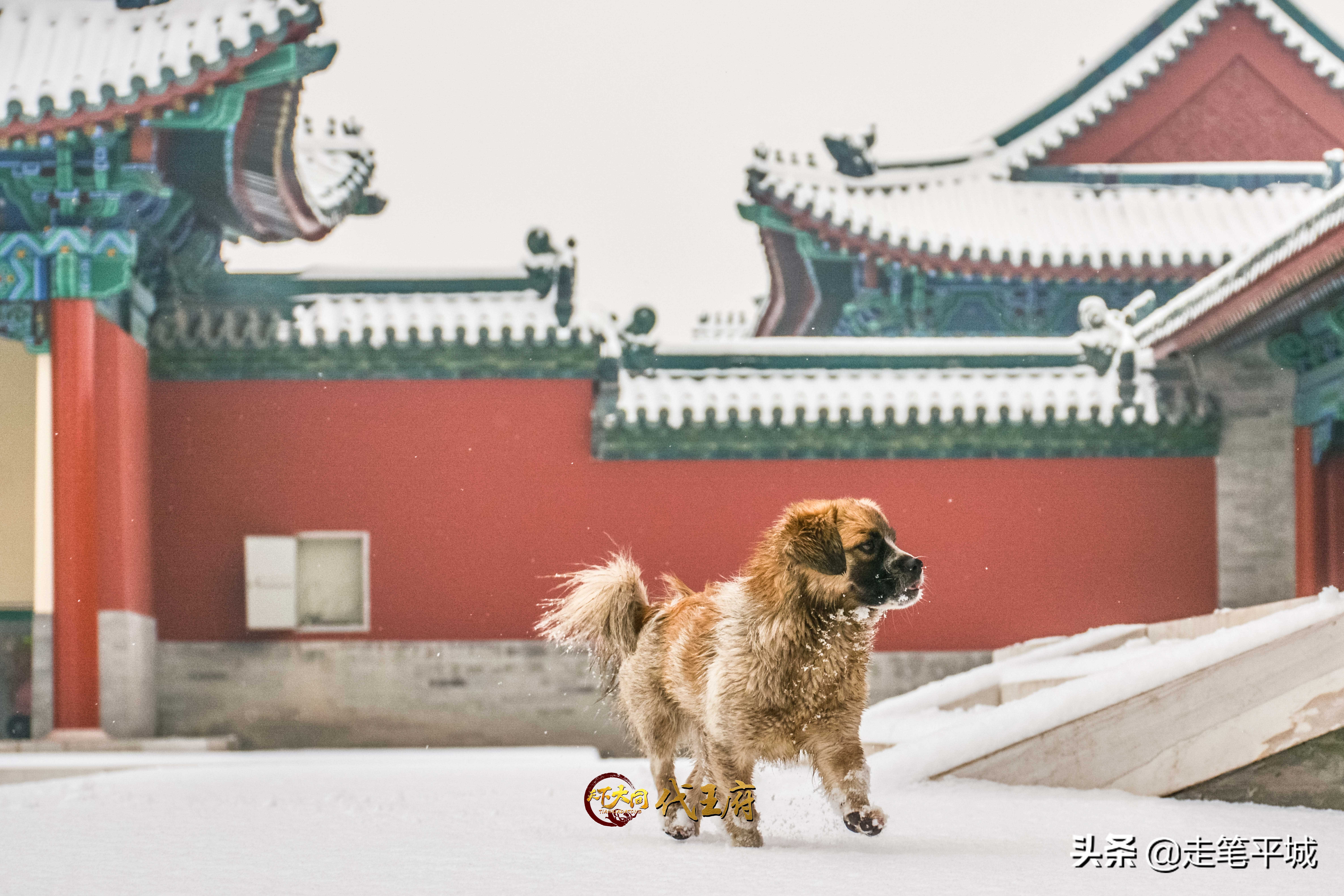 雪中中国,雪中的中国