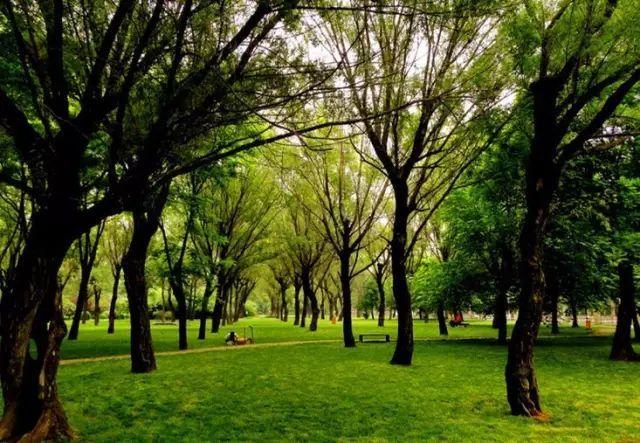 被郑州人藏起来不告诉外地人的四大景点，小伙冒死递出情报