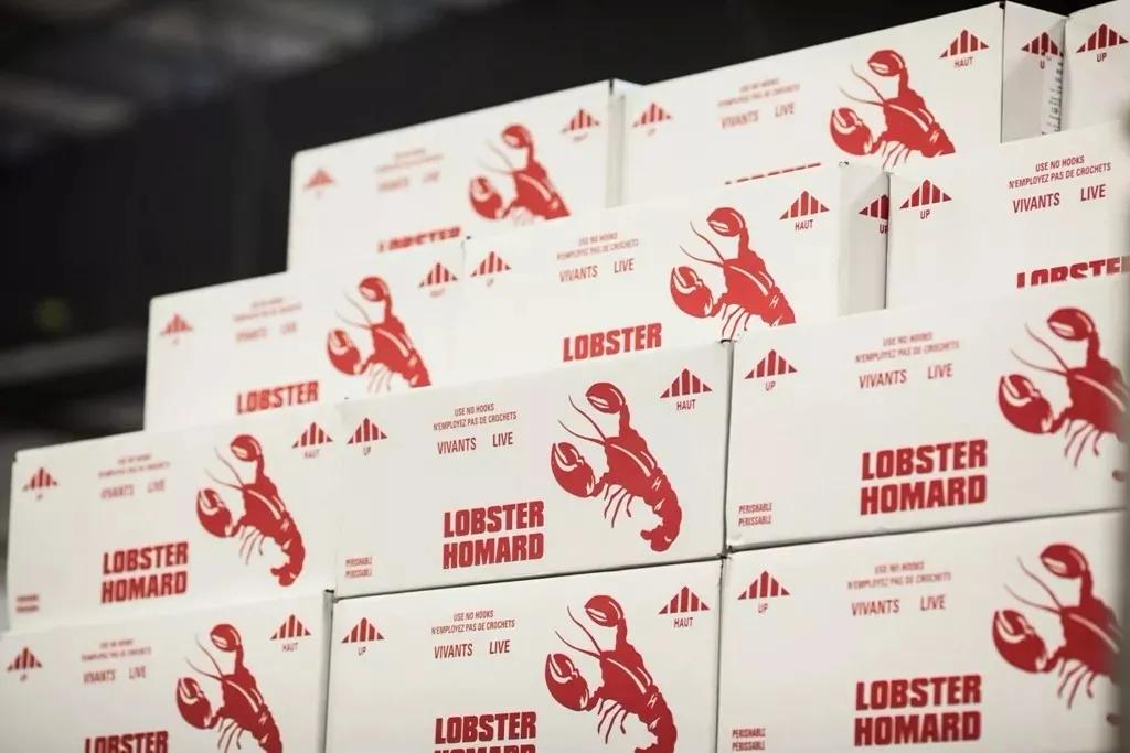 缇庡浗娉㈠＋椤垮埌缃楀垏鏂壒,浠庢尝澹】鍒板姞鎷垮ぇ